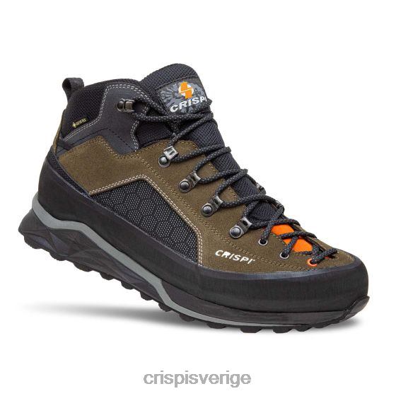 Crispi stövlar brunmesa gtx LZ2ZJ62